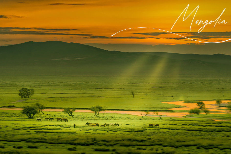 MONGOLIA – Viaggio con accompagnatore